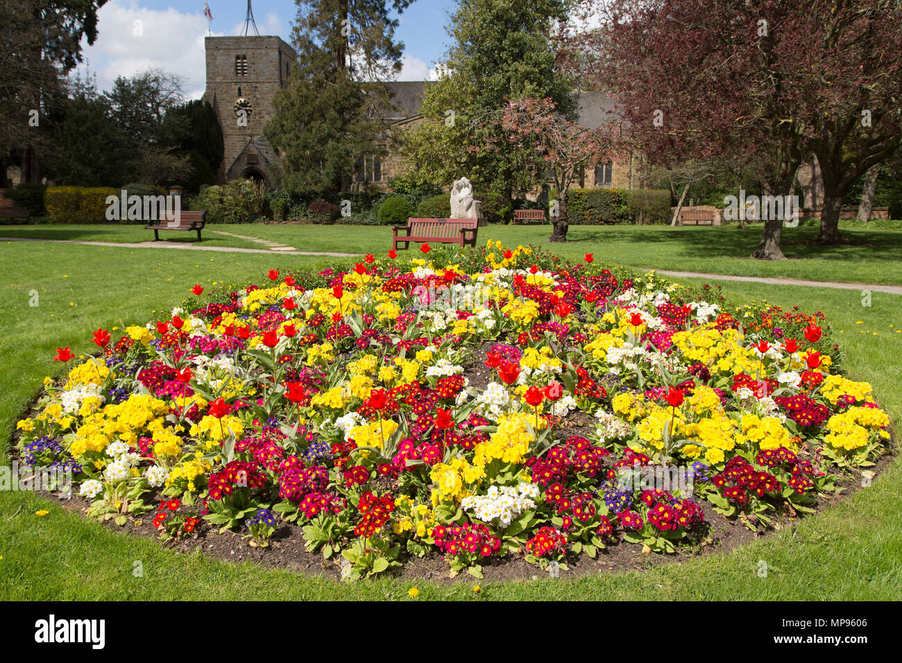 Ein bunter Blumen Bett in Ponteland in Northumberland, England. Frühling Blumen blühen in einem Aufstand der Farbe. Stockfoto