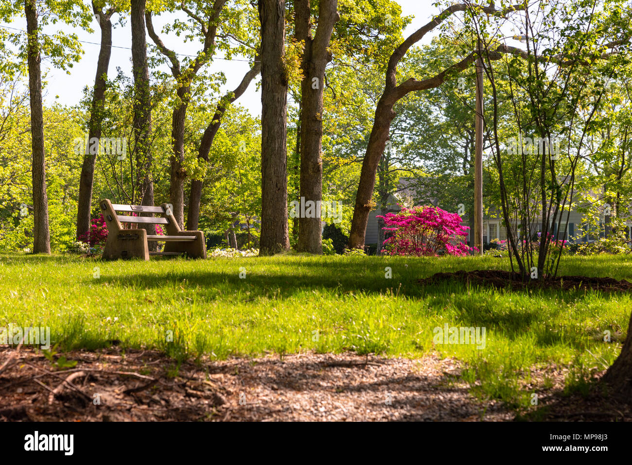 Eine Parkbank unter Blumen und Bäume, die in der göttlichen Park, Spring Lake, NJ Stockfoto