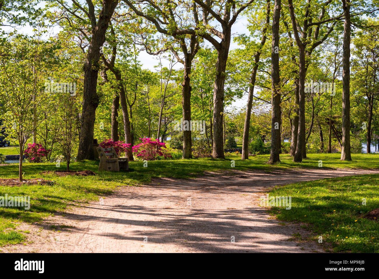 Ein Wanderweg inmitten von Blumen und Bäumen, die in der göttlichen Park, Spring Lake, NJ Stockfoto