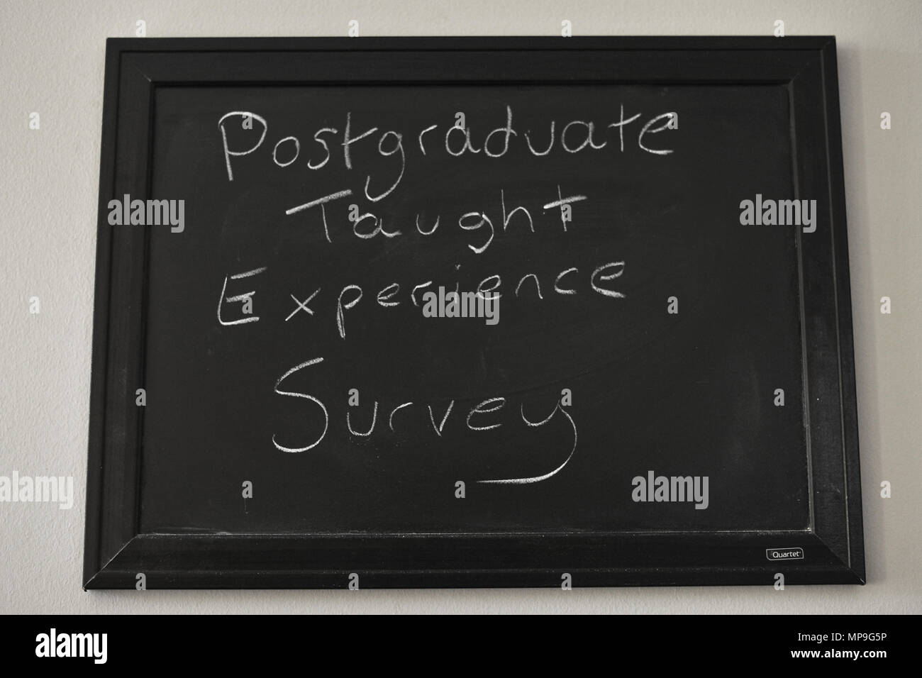 Postgraduale lehrte Erfahrung Umfrage in weißer Kreide auf einer Tafel an der Wand montiert. Stockfoto