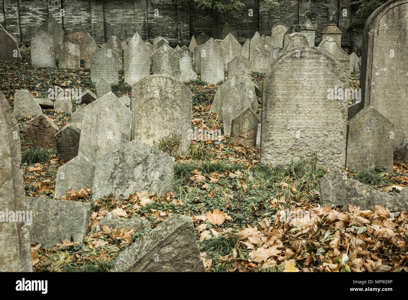 Der alte jüdische Friedhof aufgegeben. Historische, Halloween, sightseeing Konzept. Stockfoto