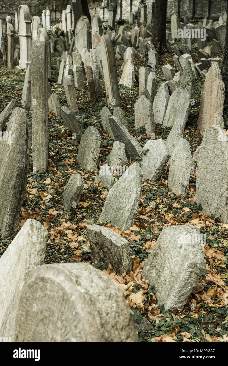 Der alte jüdische Friedhof aufgegeben. Historische, Halloween, sightseeing Konzept. Stockfoto