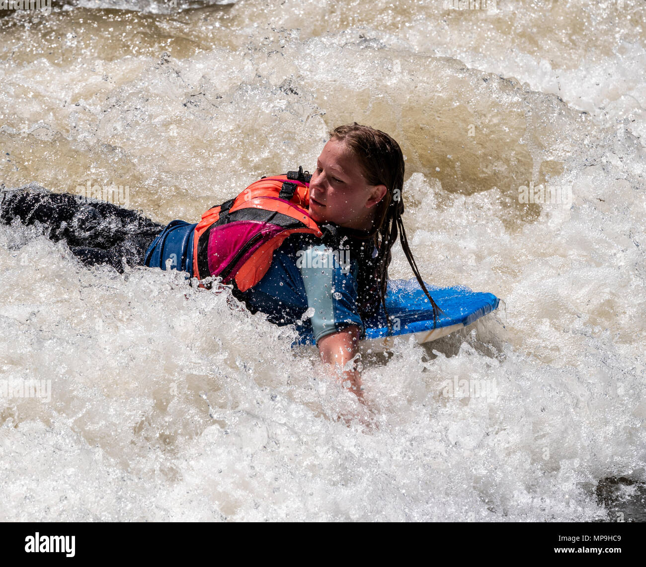 Kinder paddleboarding; Arkansas River; Salida, Colorado, USA Stockfoto