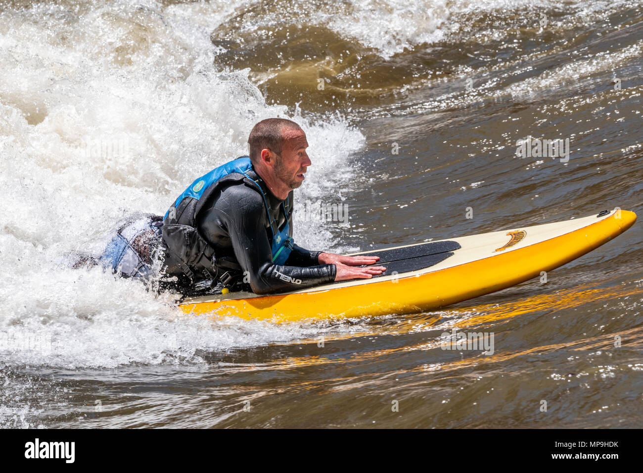 Nach standup paddleboarder; Wildwasser; Arkansas River; Salida, Colorado, USA Stockfoto