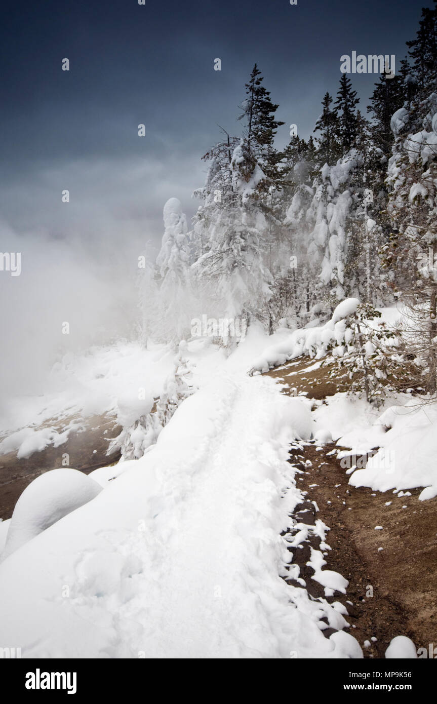 Winter im Yellowstone-Nationalpark, Wyoming, USA Stockfoto