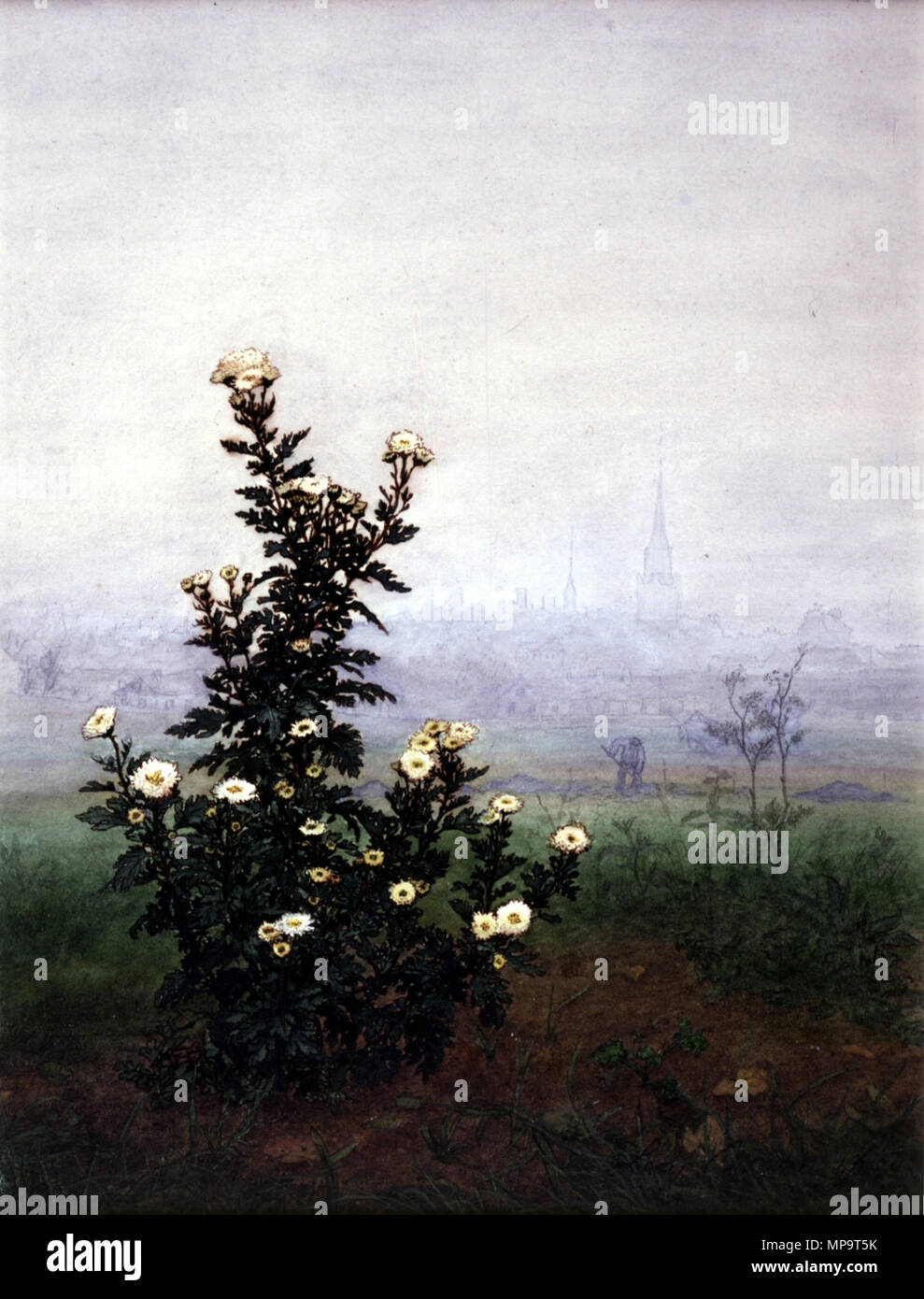 Léon Bonvin (Französisch, 1834-1866). "Blühenden Chrysanthemen", 1863 Aquarell, Gouache, eisengallustinte der Tinte und der Feder verstärkt mit Gummi über Graphit underdrawing auf mäßig Strukturlack, mäßig dick, Creme webte Papier. Walters Art Museum (37.1518): von William T. Walters, 1863 in Betrieb genommen. 37.1518 836 Léon Bonvin - Blühende Chrysantheme - Walters 371518 Stockfoto