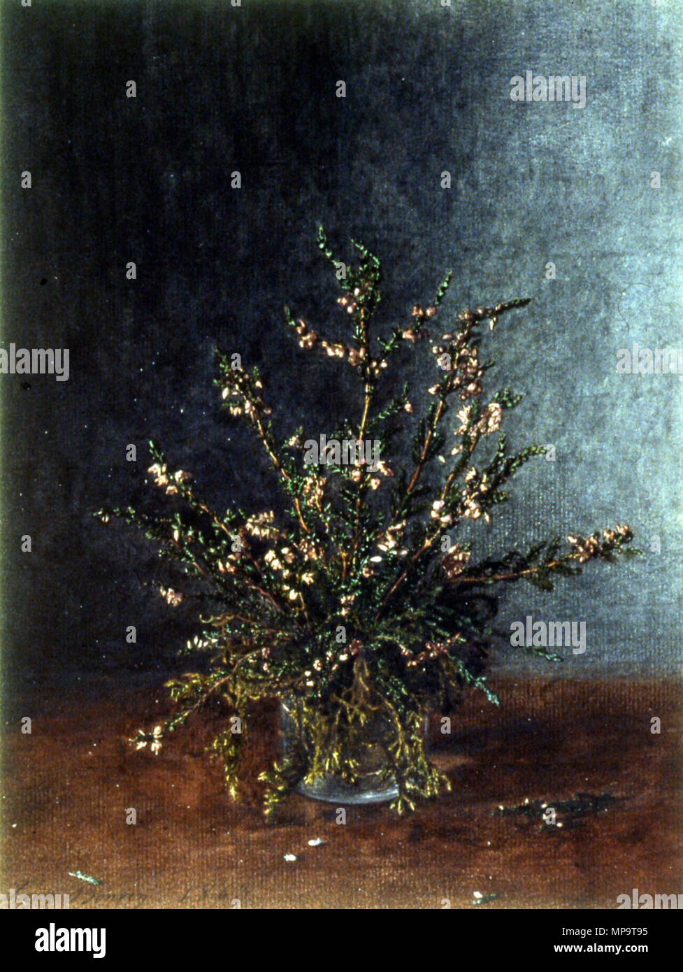 Léon Bonvin (Französisch, 1834-1866). "Vase von Heather", 1863 Aquarell mit Gummi Zuspitzung eine Weiß gehöht, eisengallustinte der Tinte und der Feder, auf Leicht strukturierte, mäßig-Dichten, cremefarbenen Papier gelegt. Walters Art Museum (37.1528): Im Auftrag von William T. Walters, 1863 (?). 37.1528 836 Léon Bonvin - Vase von Heather - Walters 371528 Stockfoto Léon Bonvin (Französisch, 1834-1866). "Vase von Heather", 1863 Aquarell mit Gummi Zuspitzung eine Weiß gehöht, eisengallustinte der Tinte und der Feder, auf Leicht strukturierte, mäßig-Dichten, cremefarbenen Papier gelegt. Walters Art Museum (37.1528): Im Auftrag von William T. Walters, 1863 (?). 37.1528 836 Léon Bonvin - Vase von Heather - Walters 371528 Stockfoto