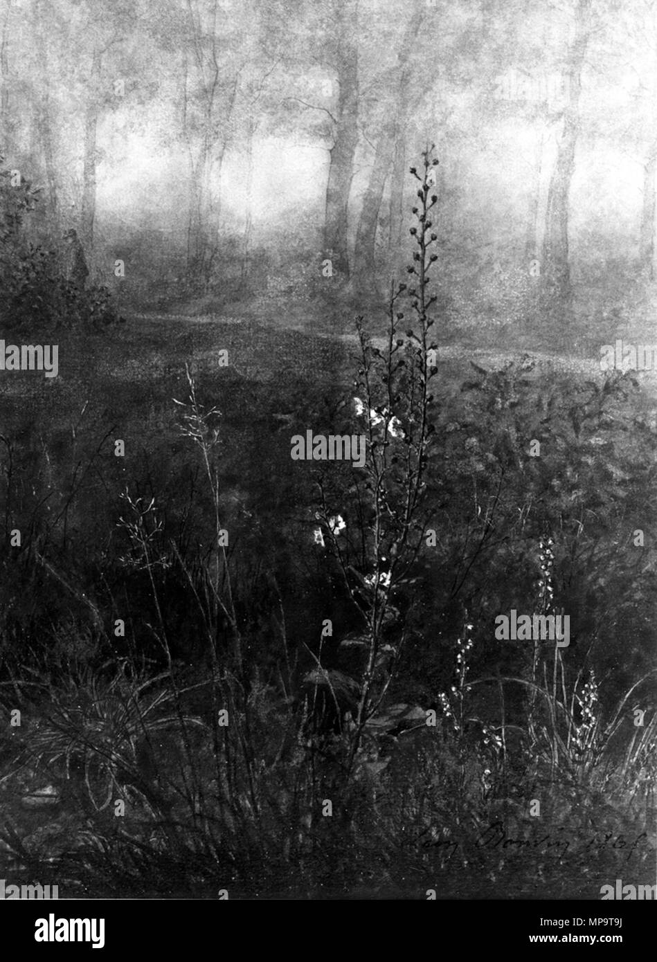 Léon Bonvin (Französisch, 1834-1866). "Woodland Szene mit Blumen vorne, ' 1865. Aquarell mit Gummi Zuspitzung, Gouache, eisengallustinte der Tinte und der Feder, über Graphit underdrawing auf leicht strukturierte, mäßig dick, Creme webte Papier. Walters Art Museum (37.1509): Erworben durch William T. Walters. 37.1509 836 Léon Bonvin - Woodland Szene mit floralen Vordergrund - Walters 371509 Stockfoto