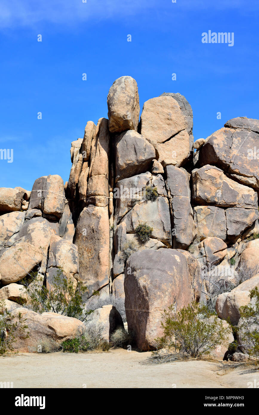 Rock Pile, Monzogranite aplitic Venen, Wachtel Frühling, Joshua Tree National Park, CA 180312 68117 Stockfoto