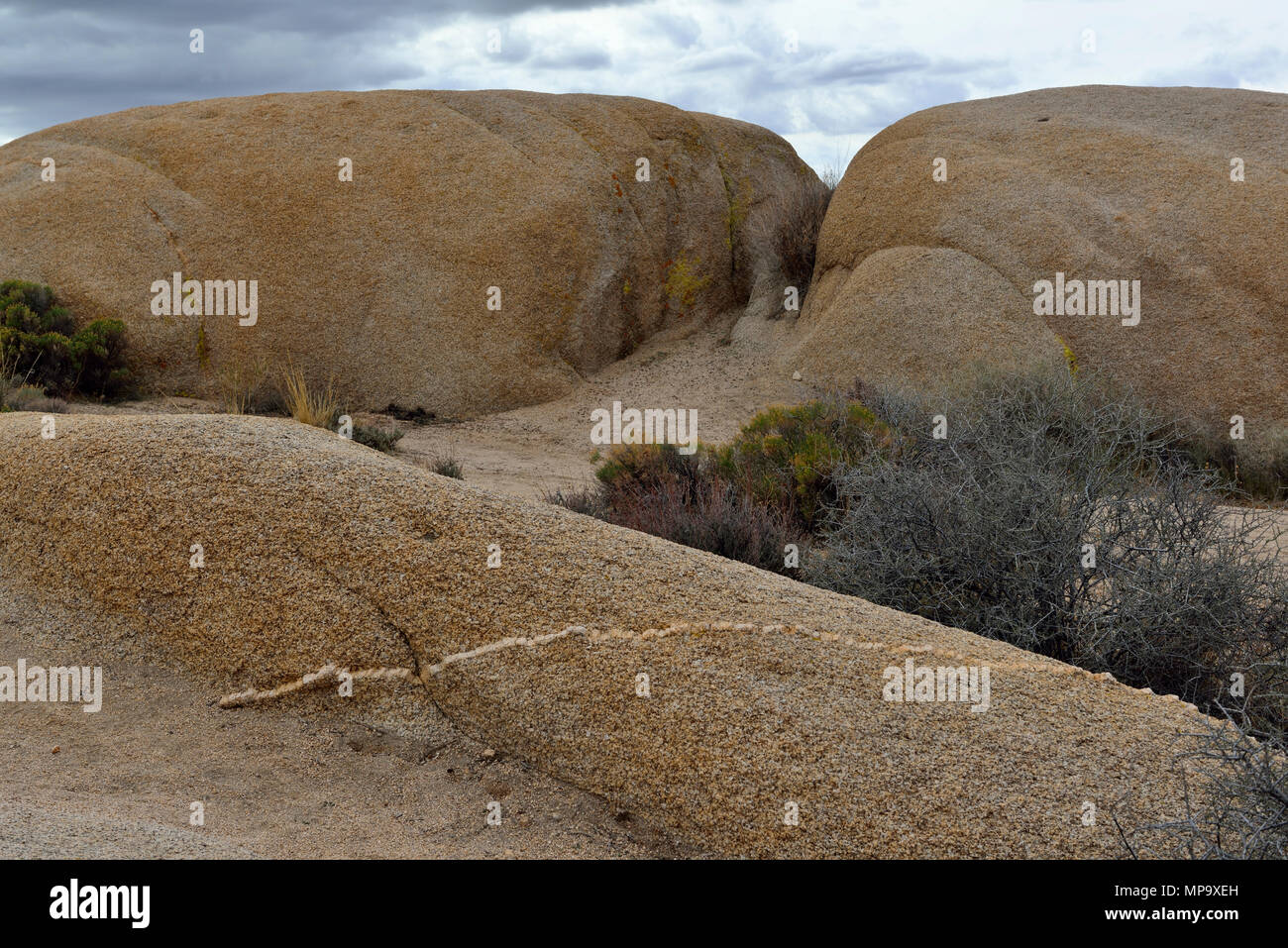 Monzogranite rock mit Aplitic Vene, Jumbo Rocks, Joshua Tree National Park, CA 180312 68175 Stockfoto