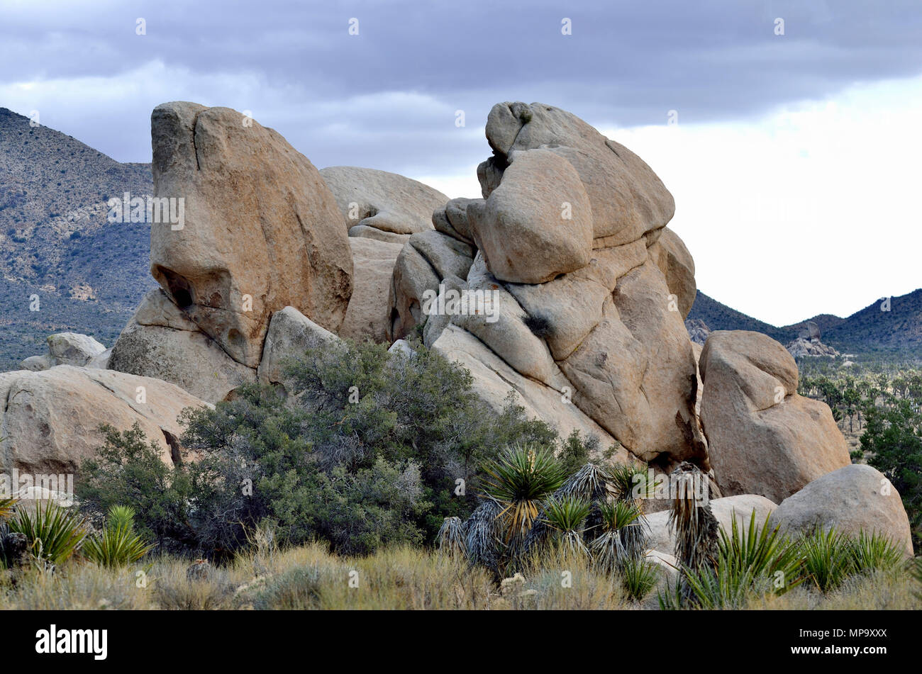 Monzogranite rock, Hidden Valley, Joshua Tree National Park, CA 180312 73472 Stockfoto