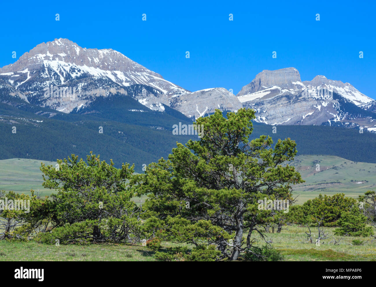 Gipfel entlang der felsigen Bergfront in der Nähe von Choteau, montana Stockfoto