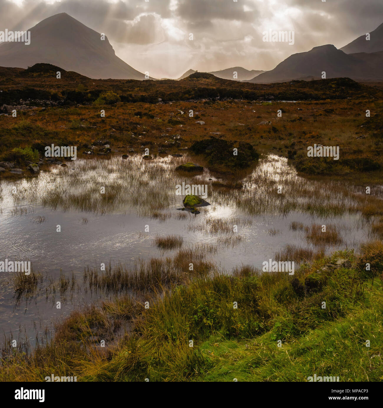 Das Wetter war wechselhaft, die für spannende Fotografie Momente. Dieses Bild würde eine große Karte Stockfoto