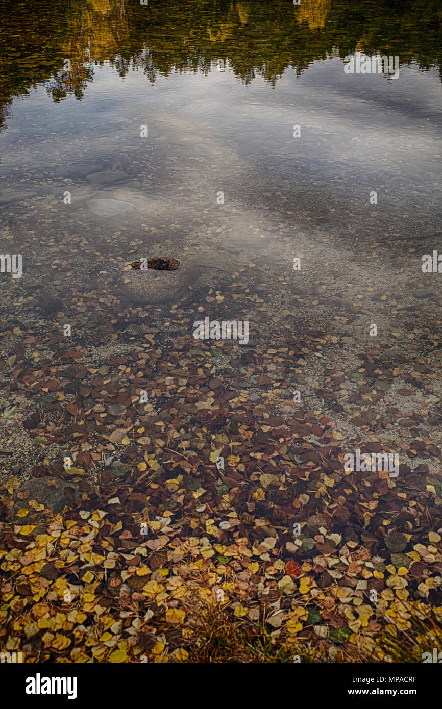 Der Klang der Stille in den Sinn kommt, wenn ich an diesen Herbst Blätter schwebenden Gelassenheit in der noch Wasser mit der Reflexion des Himmels und Ufer Stockfoto