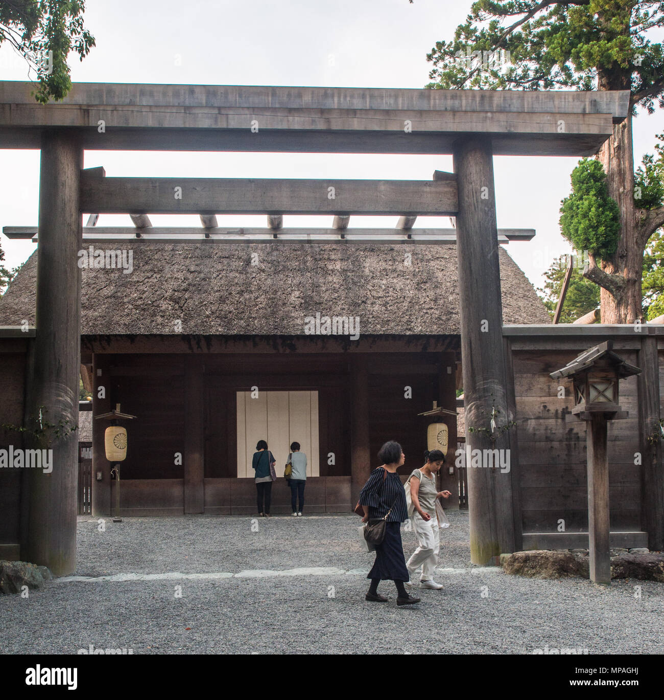 Eingang Goshoden, dem wichtigsten Heiligtum der Geku, zeigt die Stelle, wo gewöhnliche Besucher Zugang haben und beten. Stockfoto