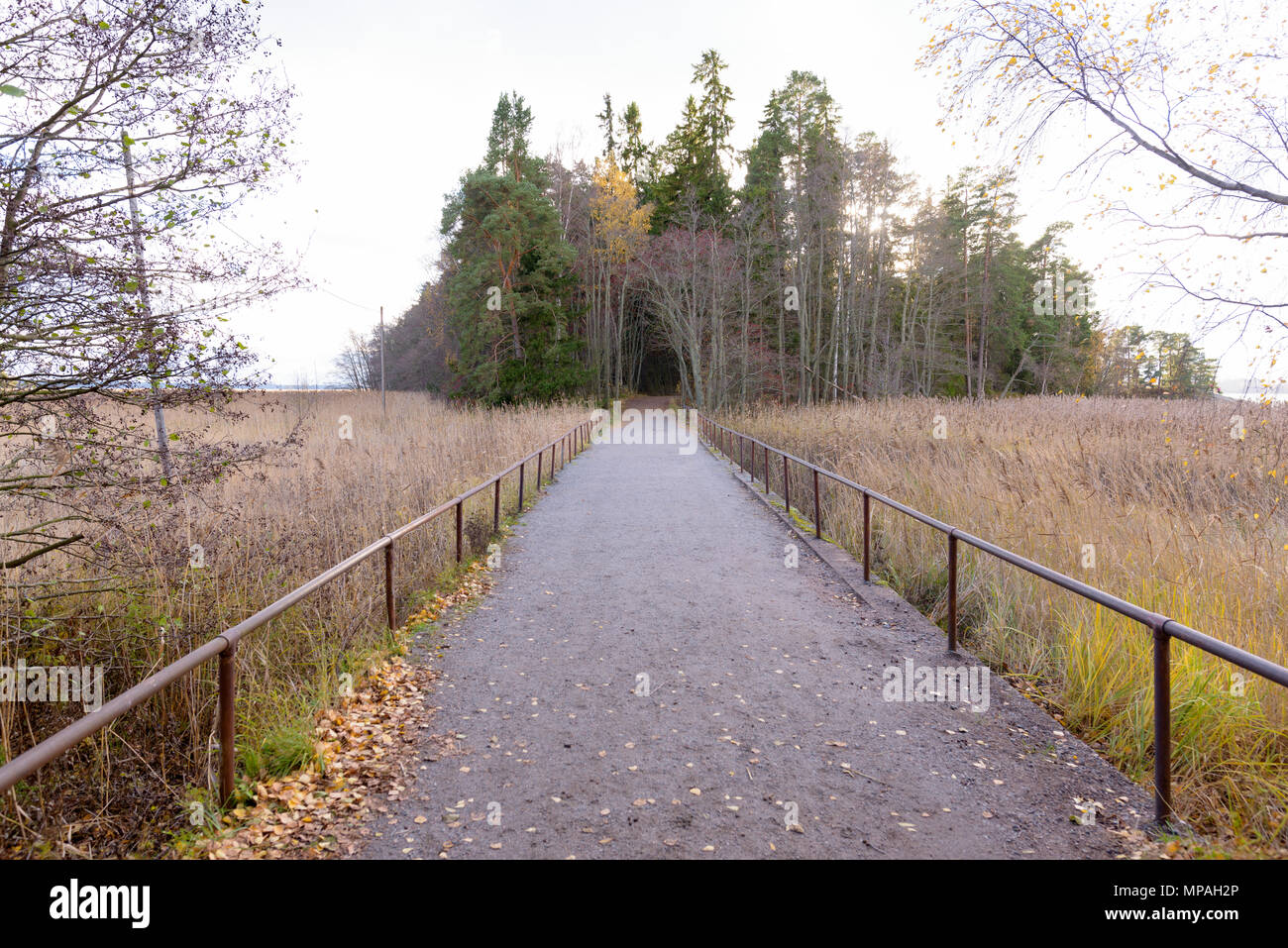 Wanderweg in Finnland der Insel Ruissalo Stockfoto