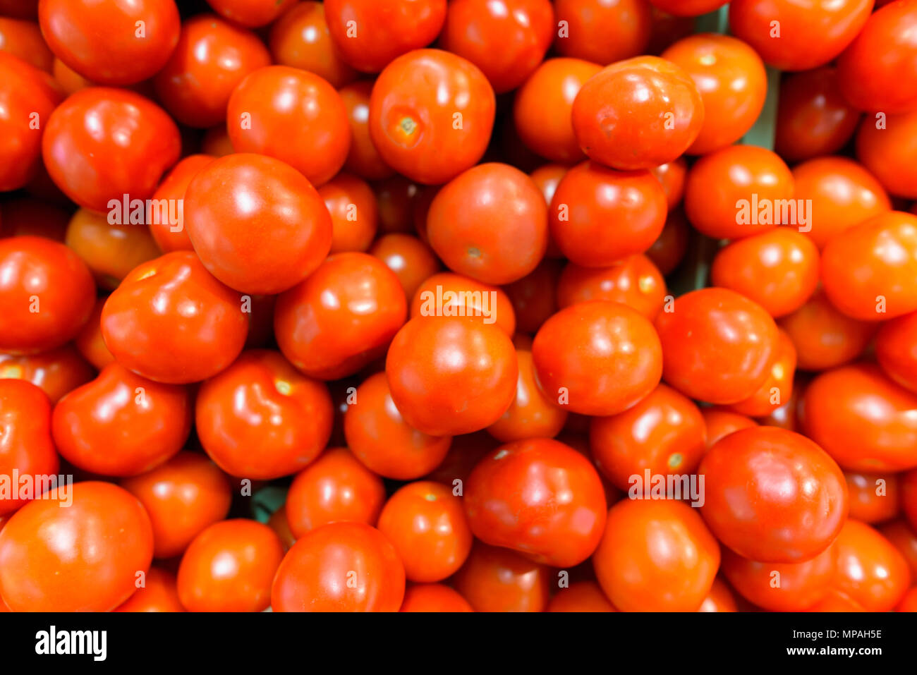 Direkt über dem Schoß der Tomaten Stockfoto
