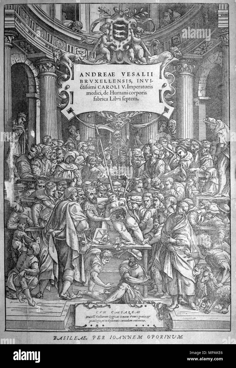 . Andreas Vesalius (1514-1564): Andreae Vesalii Bruxellensis, invictissimi Caroli V. Imperatoris Medici, De Humani Corporis Fabrica libri septem, 1555. Januar 2008. McLeod 1231 Vesalius Titel Stockfoto