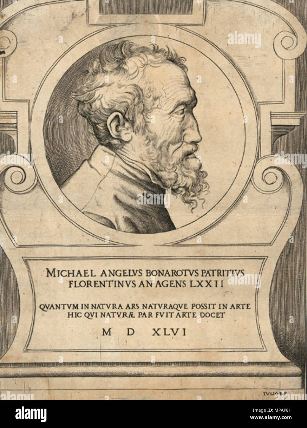 . Giulio Bonasone: Porträt von Michelangelo Buonarroti bei 72 (1546). 1546. Giulio Bonasone 889 Michelangelo von Giulio Bonasone Stockfoto