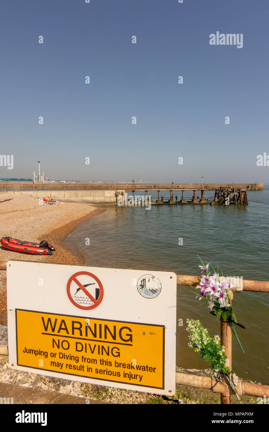 Keine Diving mit begleitenden Kunststoff Blumen - Shoreham Hafen, West Sussex, UK. Stockfoto