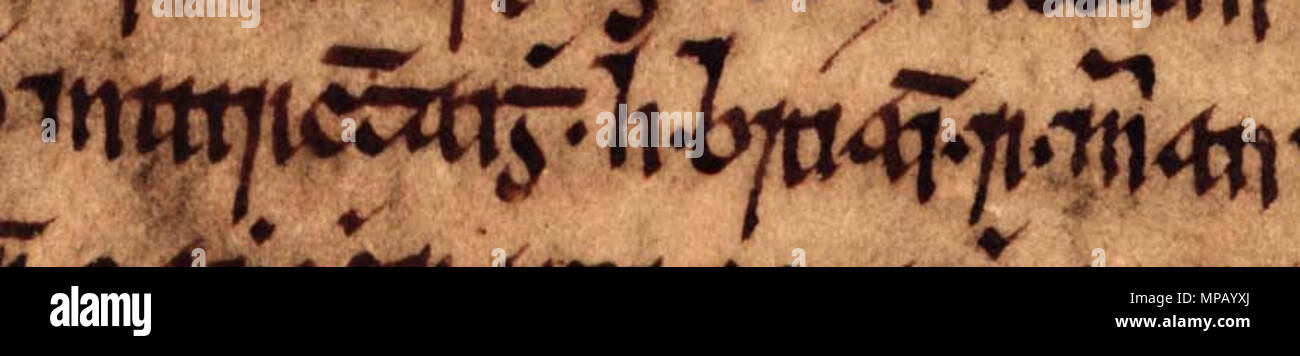 . Englisch: Ein Auszug aus Folio 19r von Oxford Bodleian Library MS Rawlinson B 488 (Geschichte der Tigernach). Der Auszug bezieht sich auf Muirchertach Ua Briain, König von Munster (gestorben 1119). Der Auszug liest bin uirchertaigh h-Úi Bríain, ríg Muman'. Zwischen dem 14. und 17. Jahrhundert. Unbekannt 911 Muirchertach Ua Briain (Oxford Bodleian Library MS Rawlinson B 488, Folio 19r) Stockfoto