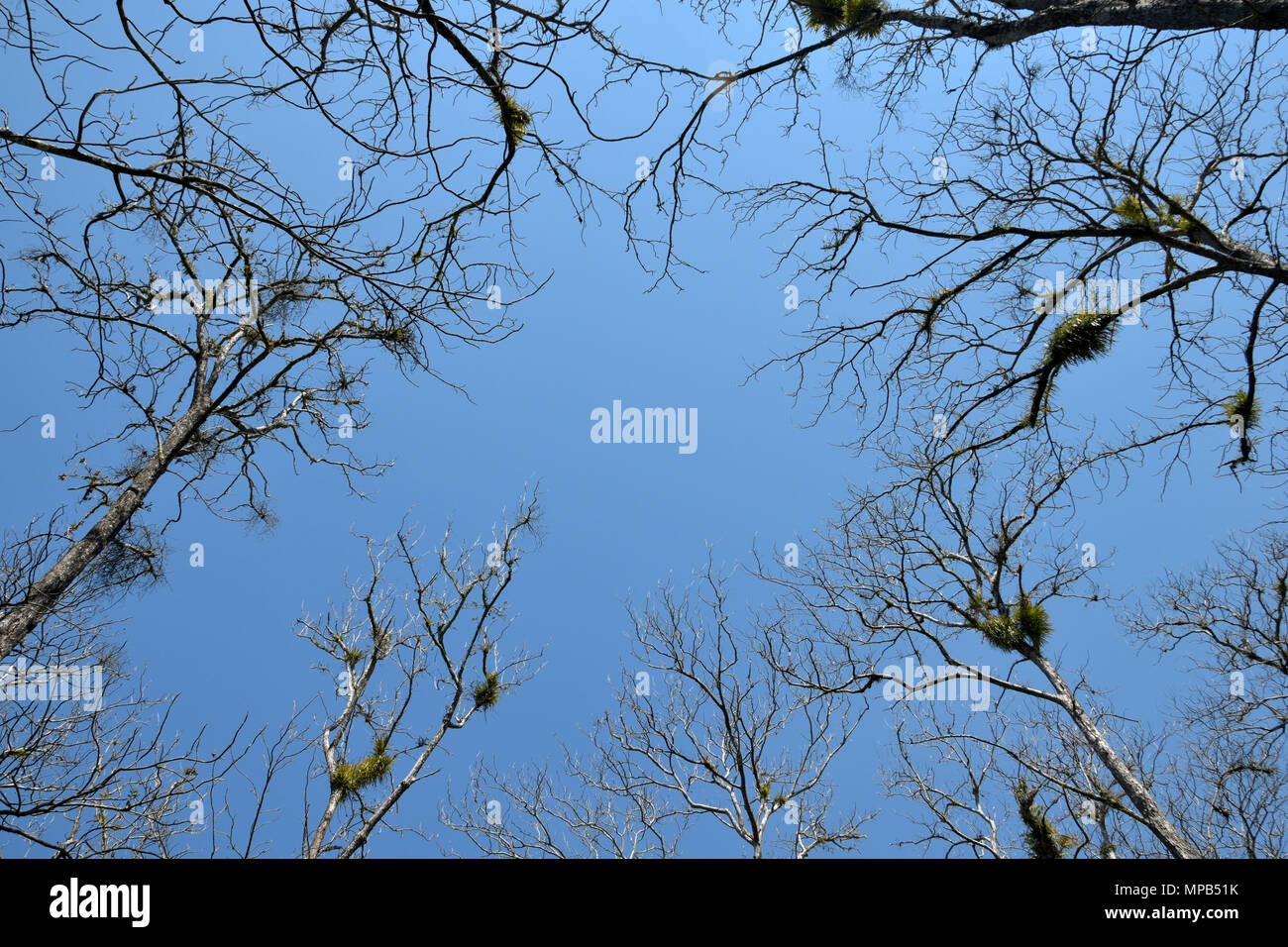 Die Niederlassung und blauer Himmel Stockfoto