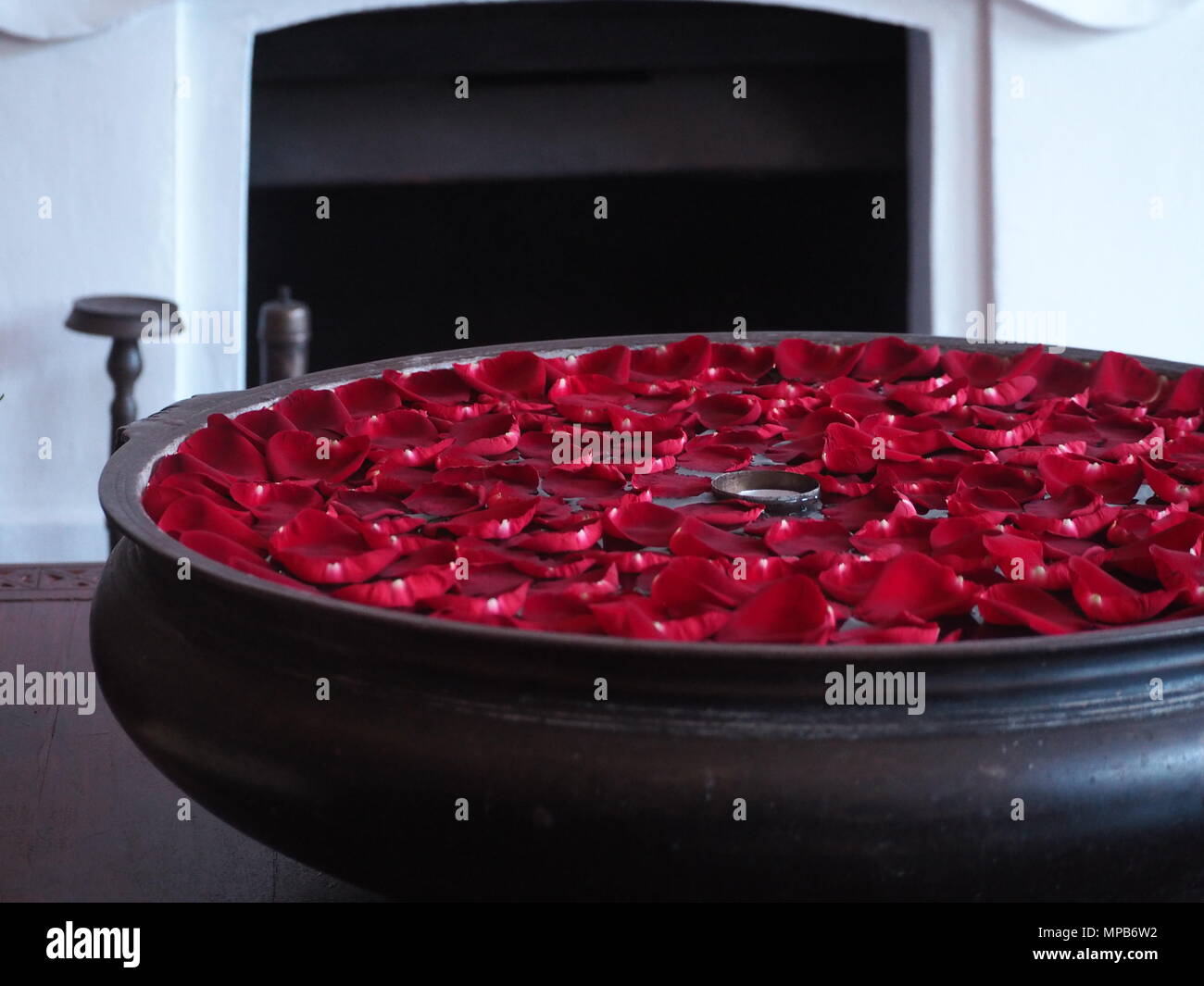 Aromatische Rosenblätter schwebend im Wasser in einem Spa. Stockfoto