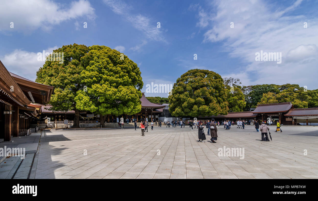 Schöne Sicht auf die Meiji Shinto Schrein im Zentrum von Tokio, Japan Stockfoto