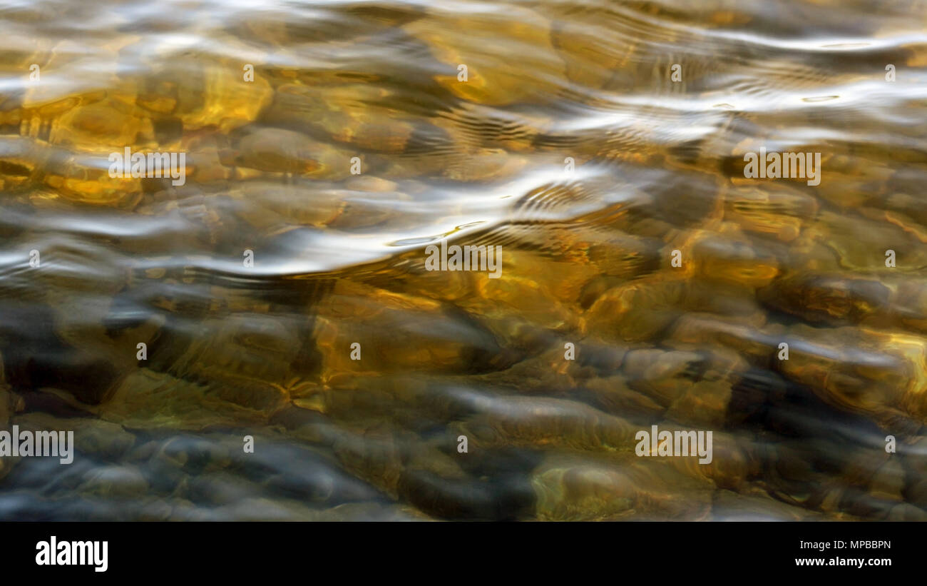 Sunlit seichten goldenen See Wasser. Felsen liegen unterhalb der Oberfläche. Stockfoto