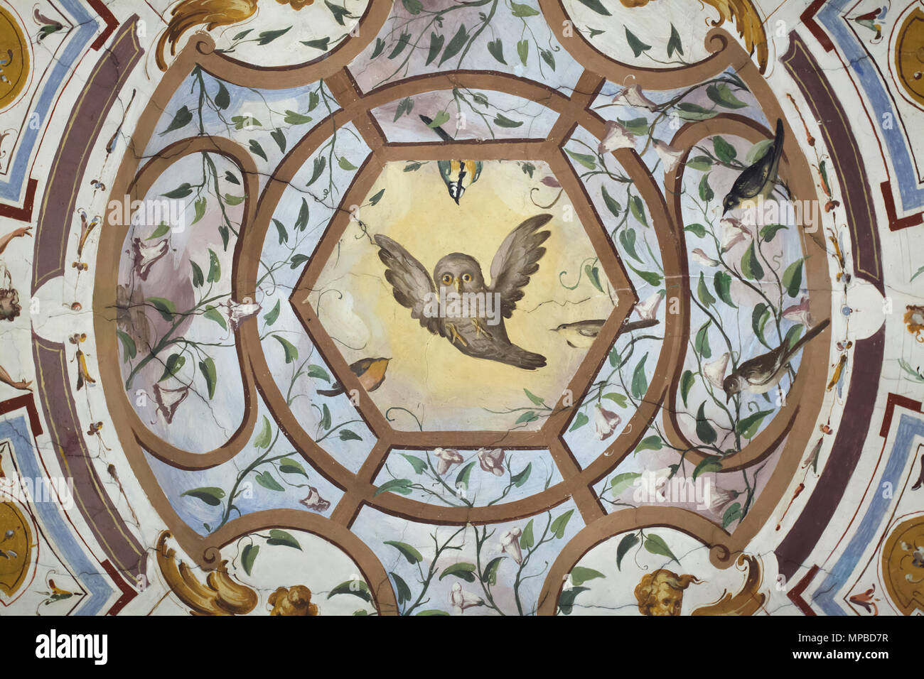 Eule im Deckenfresko der Vasari Korridor in den Uffizien (Galleria degli Uffizi) in Florenz, Toskana, Italien dargestellt. Stockfoto