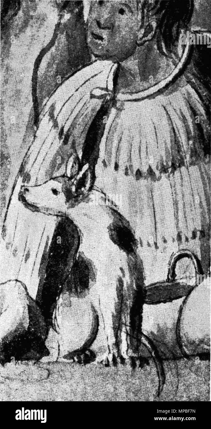 Englisch: "Neuseeland Krieg Kanu." Ein weisser Hund mit dunklen Flecken in  der Mitte rechts sitzt. Aus der Sammlung des British Museum mit Zeichnungen  von A. Buchan, S. Parkinson und J. F.