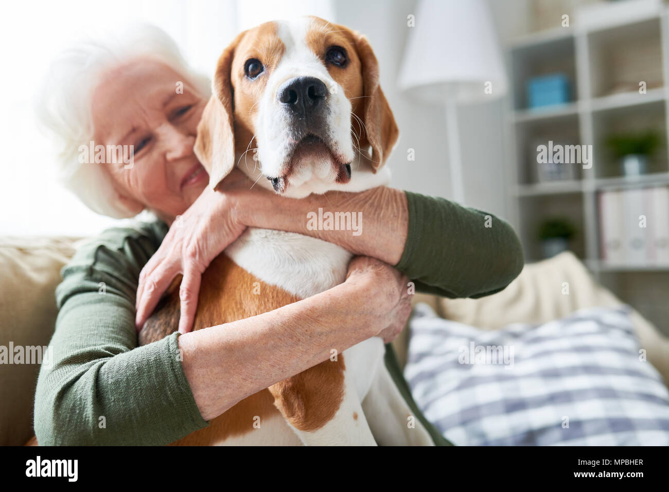 Ältere Frau mit geliebten Haustier Stockfoto