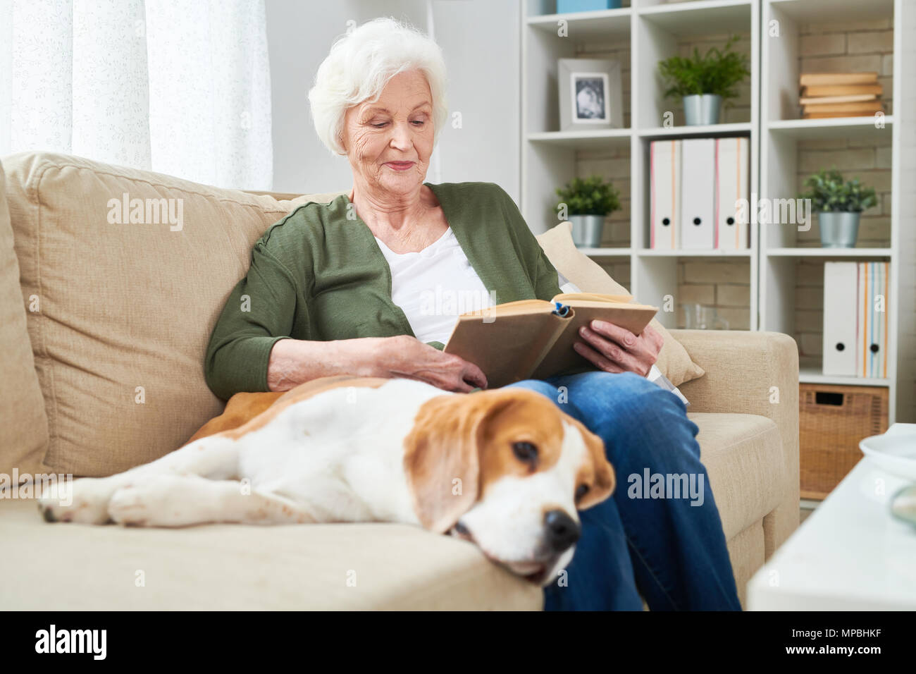Ältere Frau entspannt zu Hause mit geliebten Haustier Stockfoto