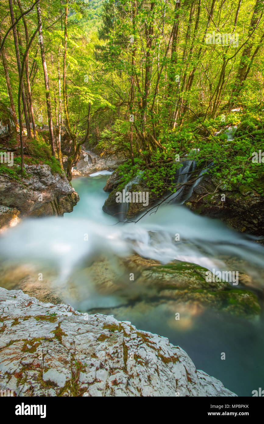 Fluss springt über Felsbrocken mit Türkis, Misty wasser Wasserfälle und Kaskaden in den Wald zu erstellen. Grüne Überdachung, Sonnenlicht, das durch Bäume. Stockfoto