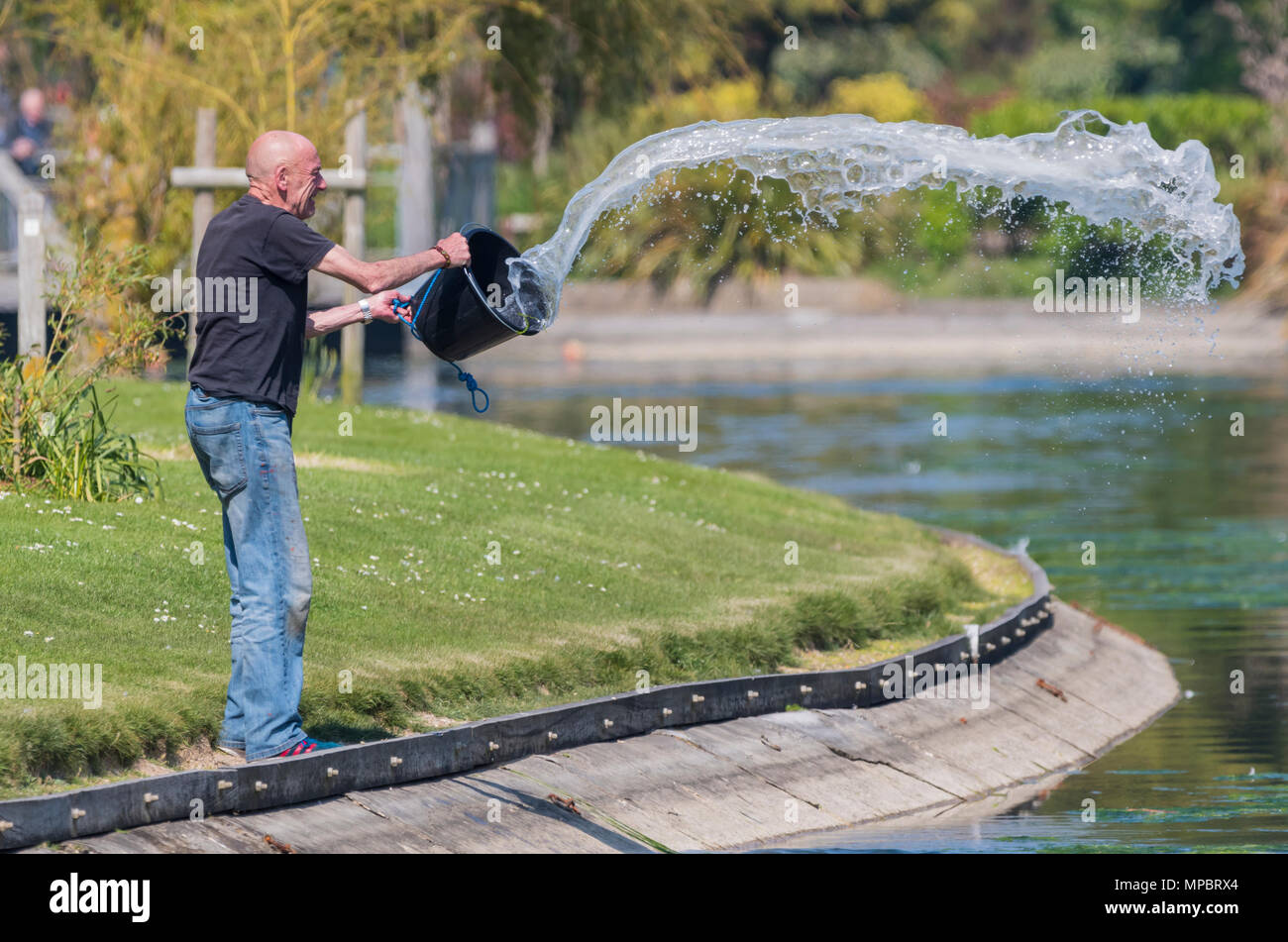 Mann werfen behandeltes Wasser in einen See in einem Park nach dem Mischen Wasser mit Chemikalien. See Wartung in Großbritannien. Wartung Wasser in einem See. Stockfoto