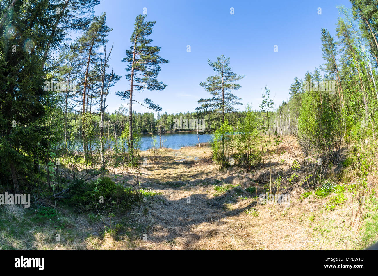 Kringla See - Quelle frischen Wassers für Oslo. Das späte Frühjahr sonnigen Tag. Stockfoto