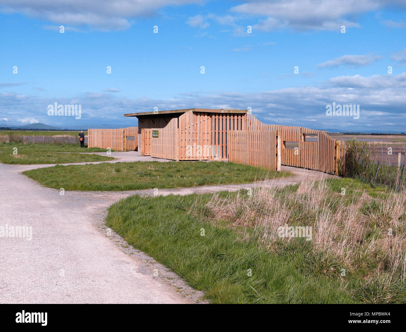 Steart Sümpfe, WWT finden, Polden verbergen, Somerset, April 2018 Stockfoto