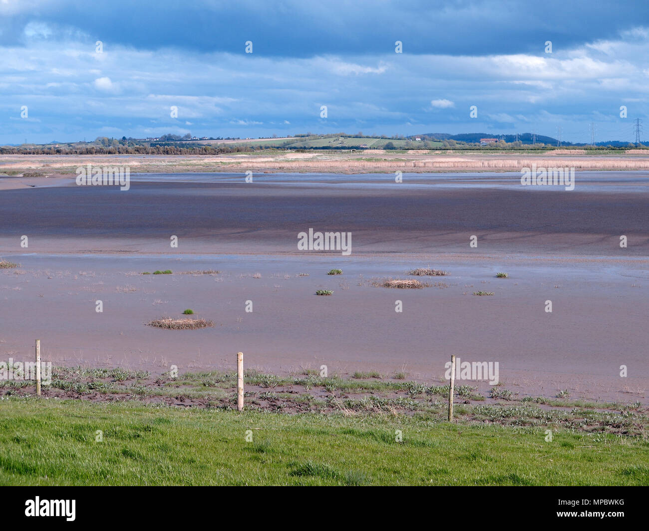 Steart Sümpfe, WWT finden, Somerset, April 2018 Stockfoto