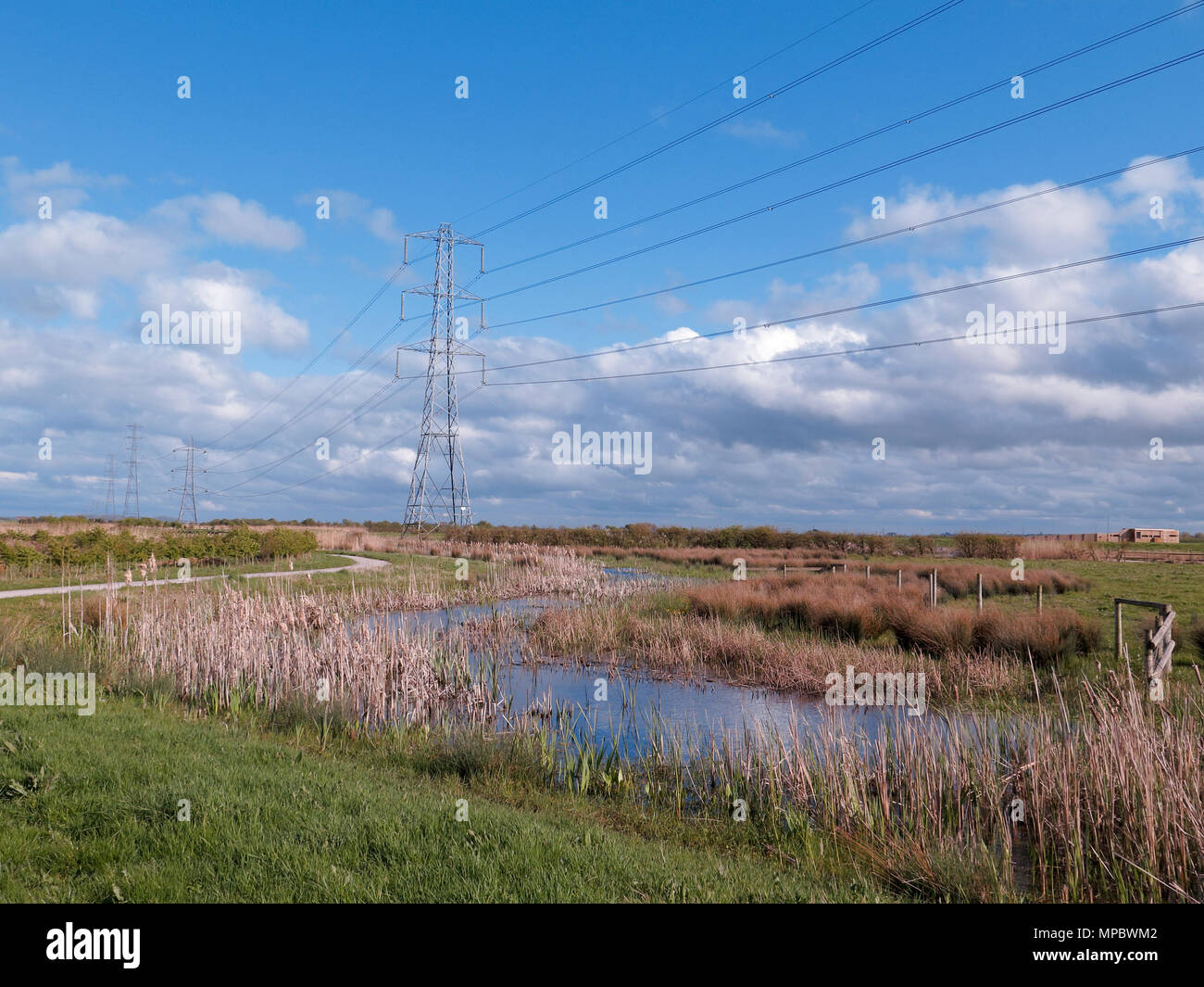 Steart Sümpfe, WWT finden, Somerset, April 2018 Stockfoto