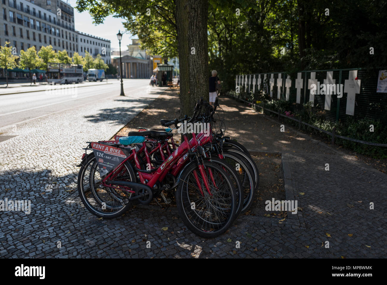 Berlin, Deutschland. "Fahrräder", an einen Baum gekettet, durch den Reichstag, Platz der Republik, Bereich. © Peter SPURRIER Stockfoto