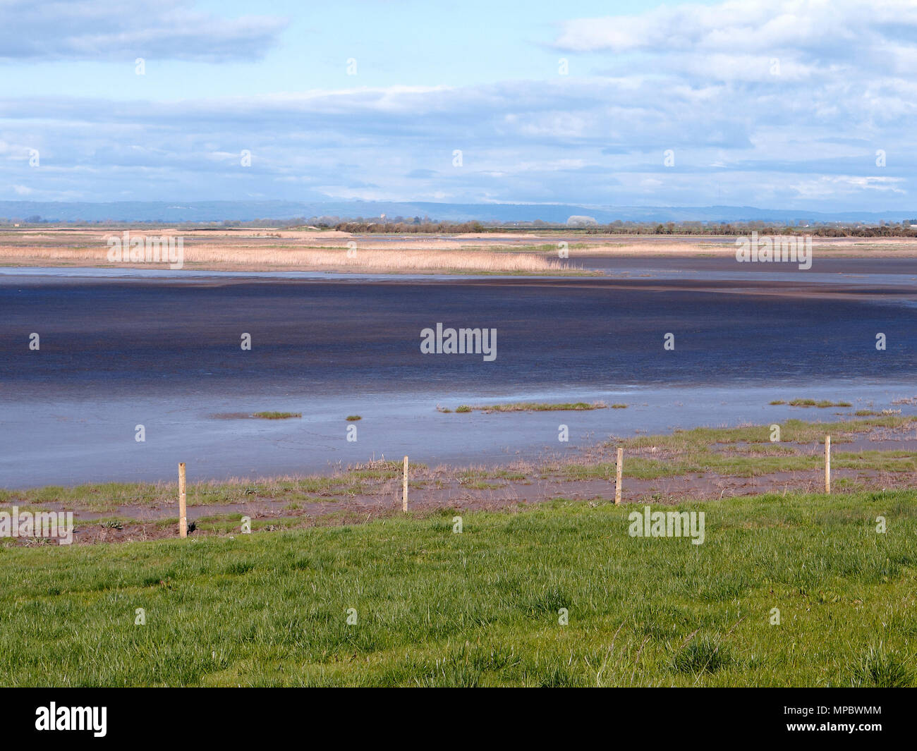 Steart Sümpfe, WWT finden, Somerset, April 2018 Stockfoto