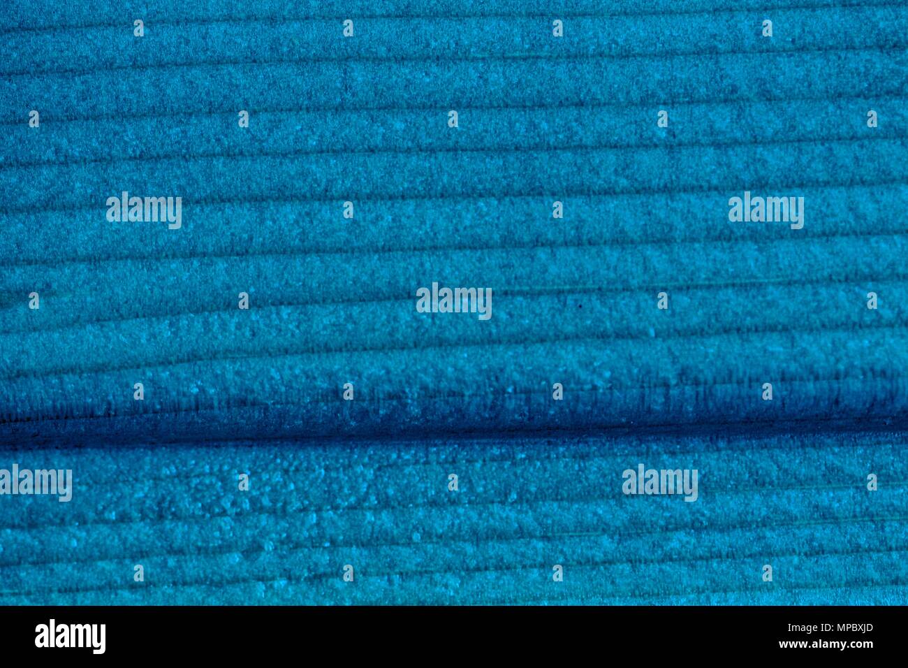 Ultra Blue Holz- Textur, leere Holz Hintergrund. Stockfoto