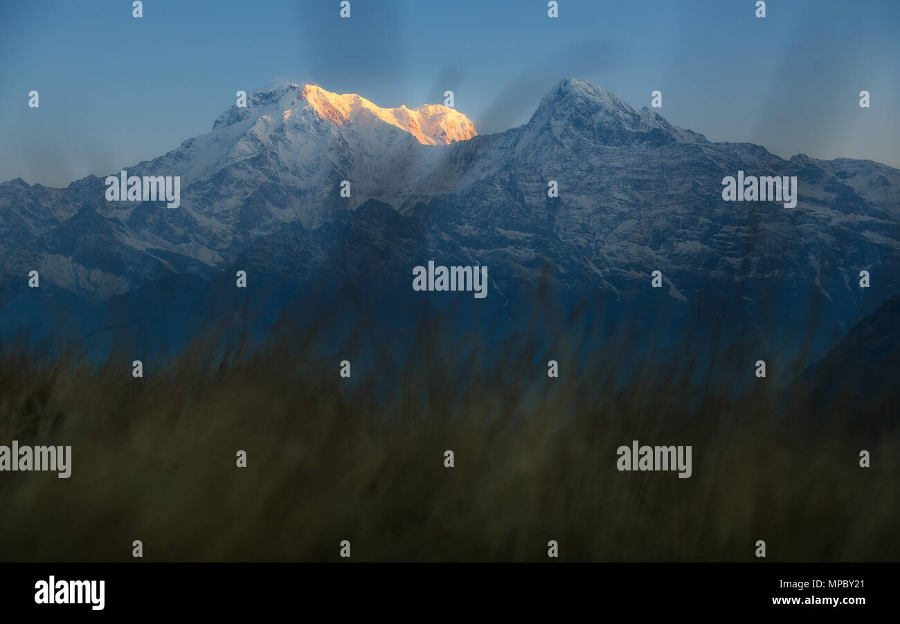 Grünes Gras und Berg morgen in Nepal Stockfoto