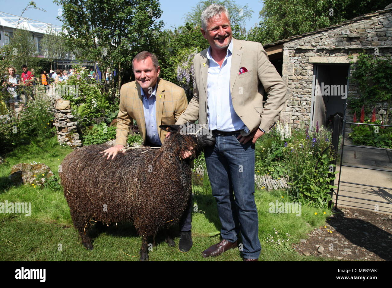 Chelsea, London, Großbritannien. 21 Mai, 2018. Chelsea, London, Großbritannien. 21. Mai 2018. Sir Gary Verity DL Chief Executive der Standardgarantie, mit Mark Gregory und ein Schaf auf dem Willkommen in Yorkshire Garten an der Chelsea Flower Show 2018, entworfen von Mark Gregory für Landformconsultants.co.uk Quelle: Jenny Lilly/Alamy leben Nachrichten Stockfoto