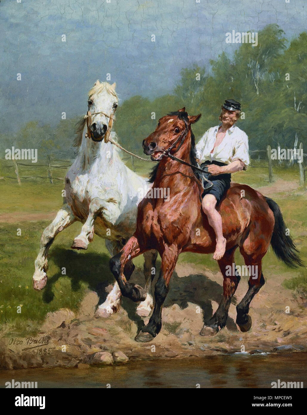 Bache Otto-Knecht Fahrten zwei Pferde zu Wasser Stockfoto