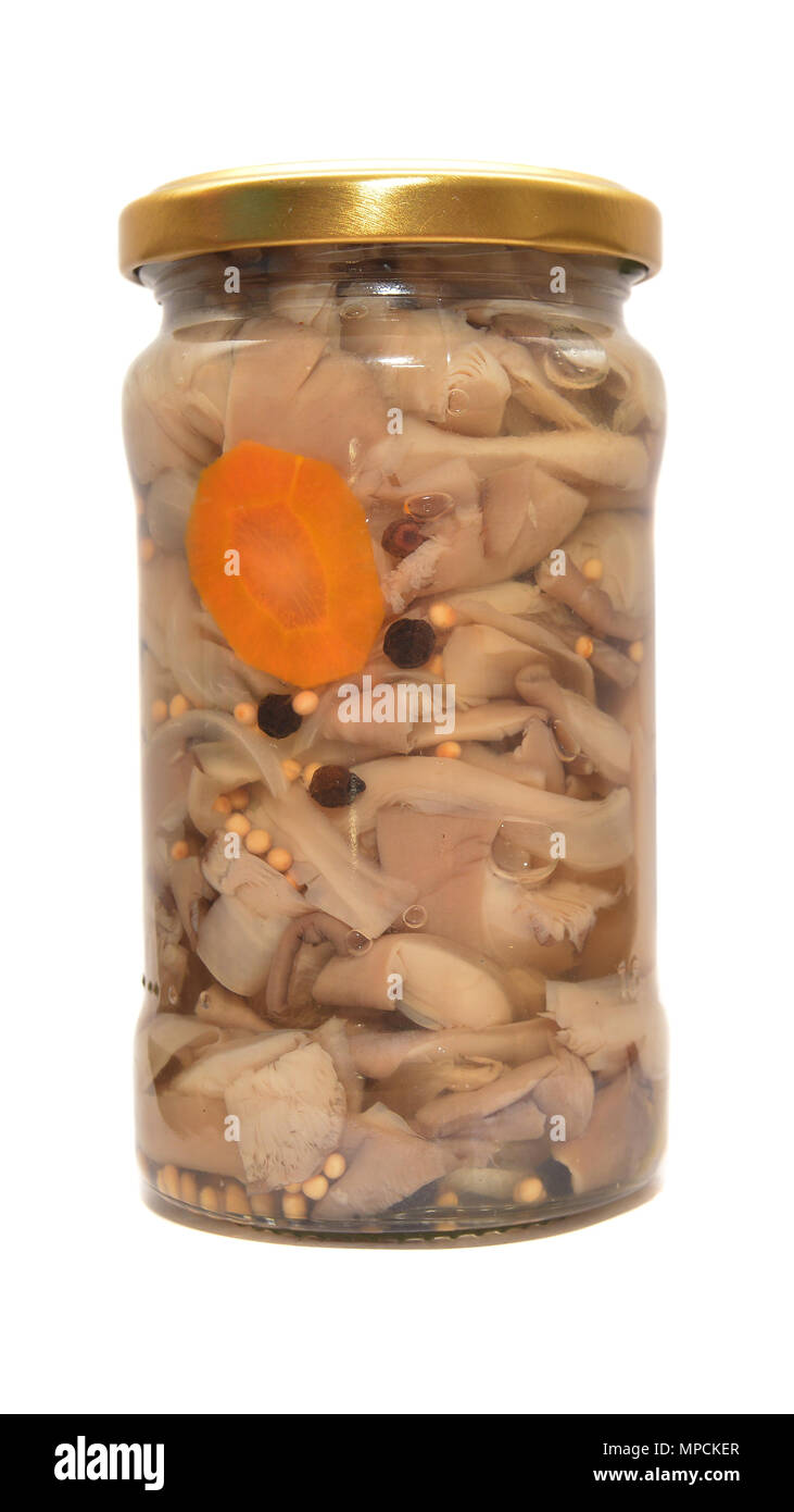 Dosen Champignons in jar auf weißem Hintergrund Stockfoto