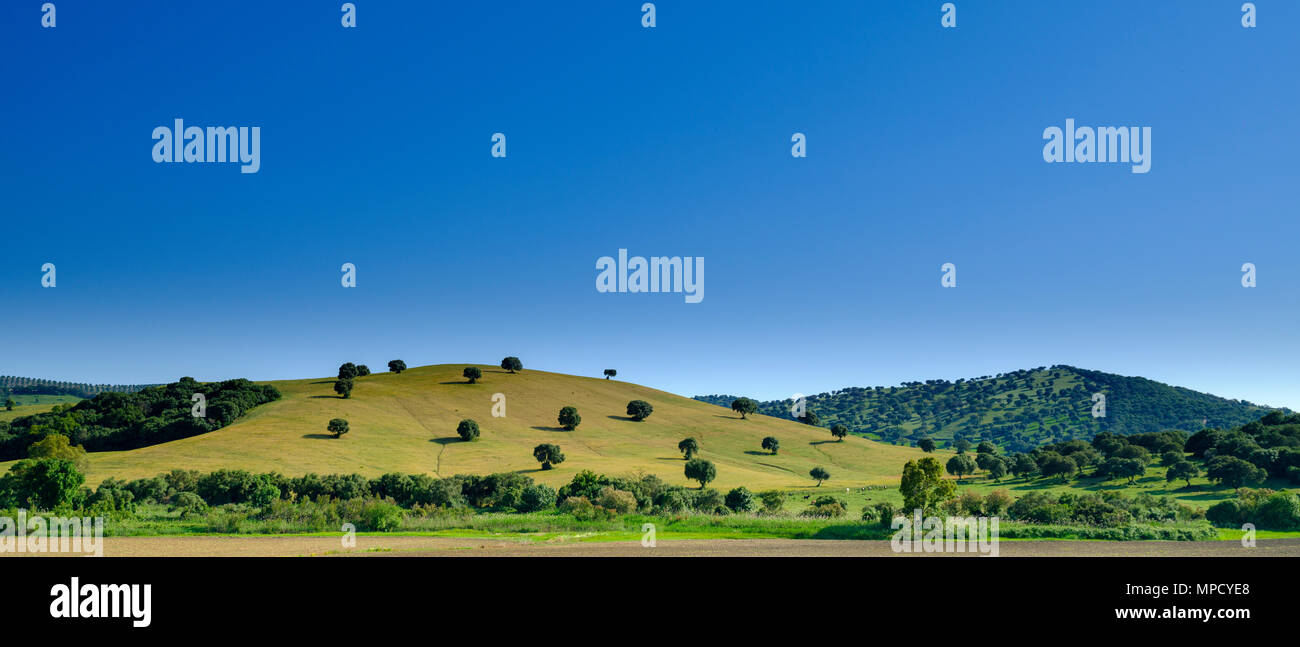 Blick auf das fruchtbare rollenvorbergen zwischen Arcos de la Frontera und El Bosque auf der Begrenzung der Parque Natural Sierra de Grazalema Stockfoto