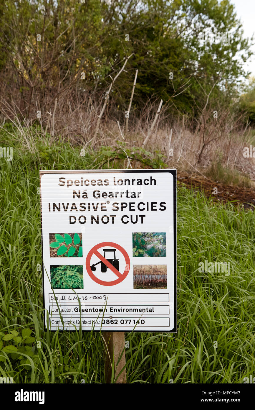 Am Straßenrand Warnzeichen schneiden Sie nicht invasiver Pflanzenarten County Leitrim Irland japanische Knöterich Tilgung am Straßenrand grenzt im County Leitrim Stockfoto