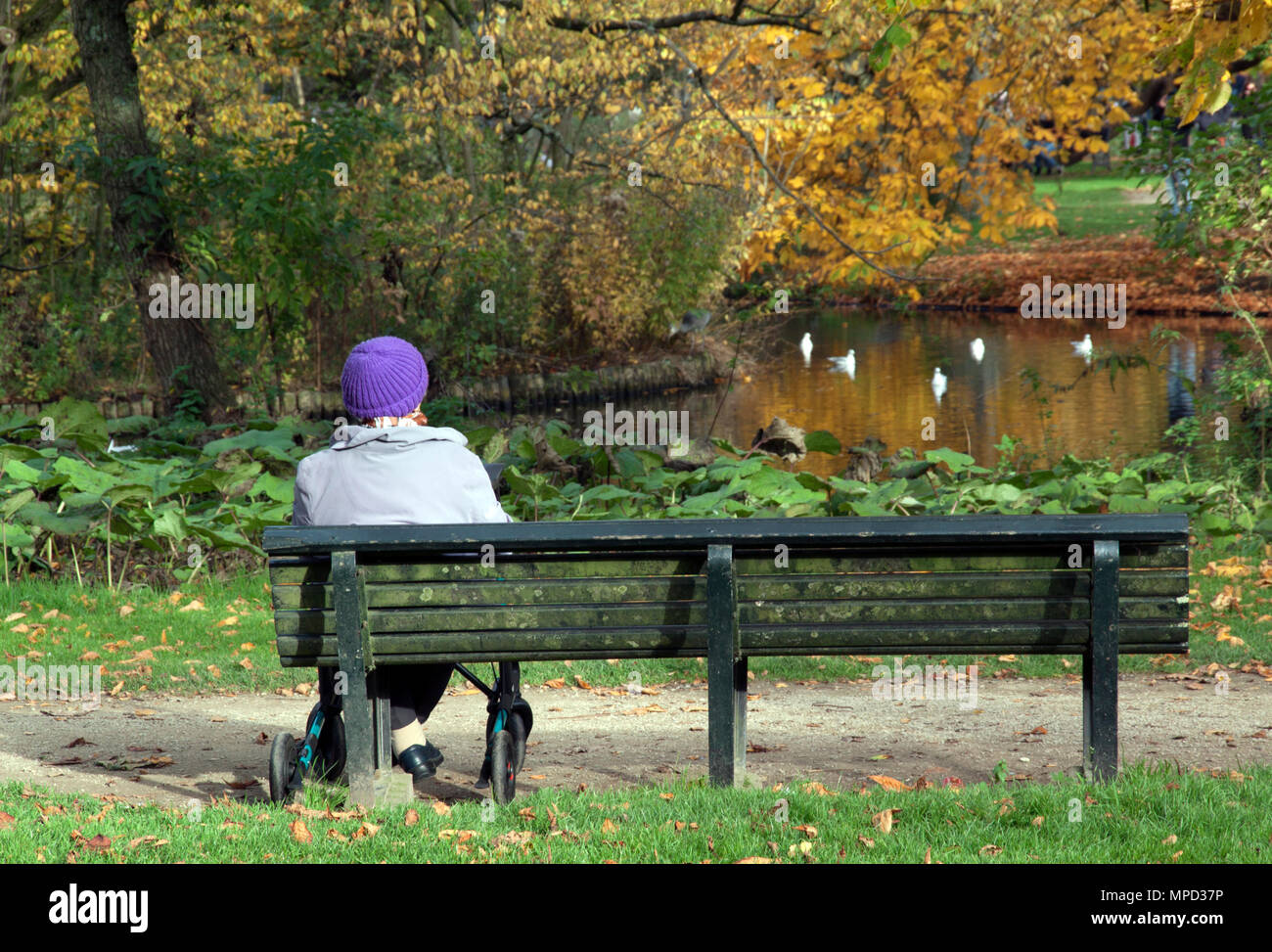 Amsterdam, Niederlande, 25. Oktober, 2015: Frauen in den Vondelpark in Amsterdam sitzen Stockfoto