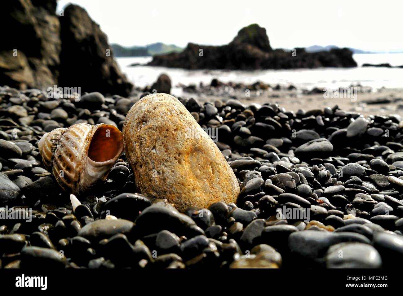 Kieselsteine lagen unter einem Felsen und einem Shell verstreut Stockfoto